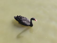 -艾溪湖湿地公园