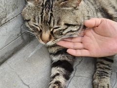 -正阳书局(西四南大街店)
