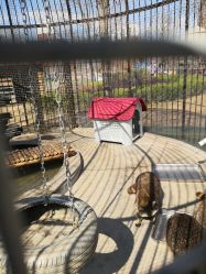 -萌宠亲子动物乐园(槐房万达店)