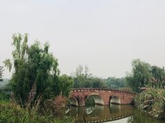 -白鹭湾湿地公园