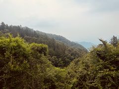 -洛阳白云山景区