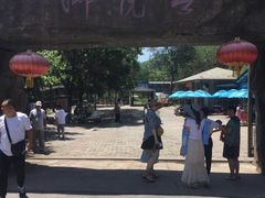 -石家庄市动物园