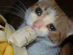 -顺水鱼馆(克西路店)