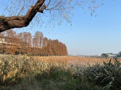-东湖生态旅游风景区