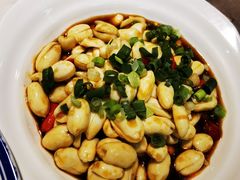 -韩师傅老大同刀削面(北苑路店)