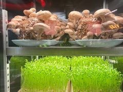 -捞王猪肚鸡火锅(金华义乌之心店)
