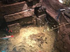 -Mountain House East Village 川山甲