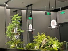 -绿茶餐厅(滨海万达广场店)