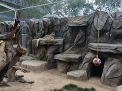 -青藏高原野生动物园