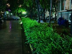 -花博汇(知音花月夜)