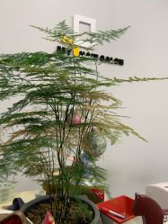 -茶发Salon·烫发染发理发