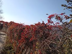 -香山公园