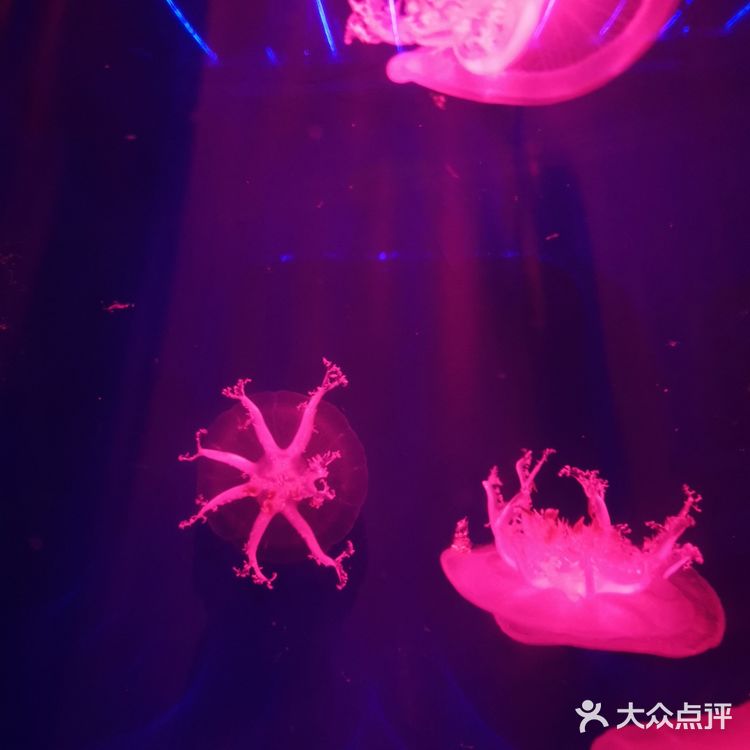 闲暇周末/欢乐海底世界