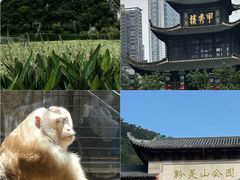 -天河潭旅游度假区