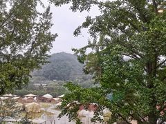 -重庆南山海昌汤都