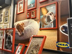 -宜家家居(四元桥商场店)