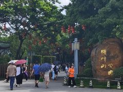 -顺峰山公园