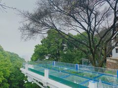 -南山植物园