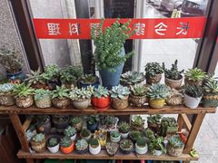-长今家韩国料理(瑞景店)