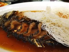 糖醋软溜鲤鱼焙面-阿庄新豫菜(通泰路店)