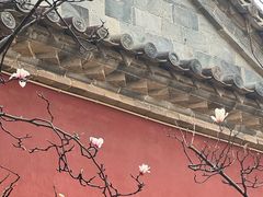 -建水文庙
