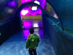 -梦幻海洋王国(吾悦广场张家港店)