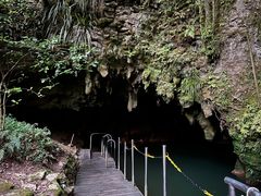 -怀托摩萤火虫洞