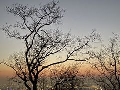 -杭州半山国家森林公园