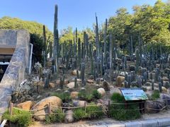 -深圳仙湖植物园