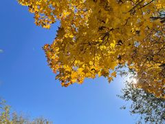 -阳台山自然风景区