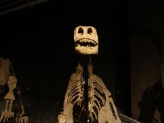 -世界恐龙谷景区