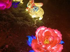 -无锡梅园公园
