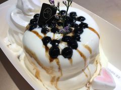 黑糖珍珠梳乎厘-狐狸和向日葵(北京路店)
