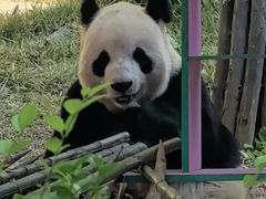 -大连森林动物园