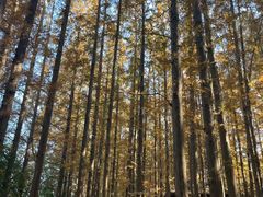 -南京金牛湖风景区