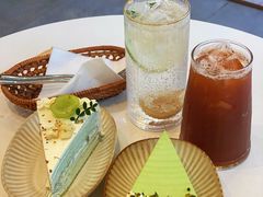 开心果千层-叶太YETAI(良库店)