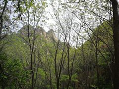 -大岭沟猕猴桃谷风景区