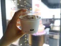 -BLACKSWAN黑天鹅(环球店)
