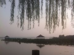 -小陆莲花蟹园农家乐(莲花岛店)