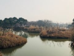 -梁鸿国家湿地公园