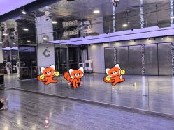 -泫舞舞蹈工作室