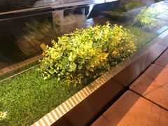 -喜茶(永旺梦乐城店)