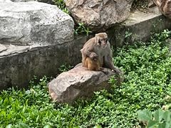 -上方山森林动物世界