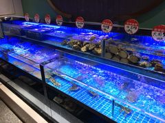 水产区-鸽子侯·家宴·平价海鲜(市图书馆店)