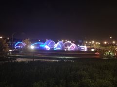 -迪士尼乐园停车场