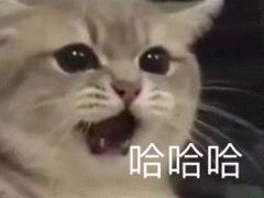 -怪物的冰与火(天虹商场中山路店)