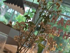 -春树下·树屋花房西餐厅(罍街AS1980店)