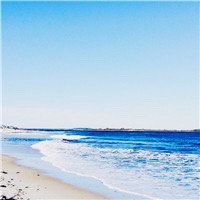 -薇兰专业脱毛连锁机构