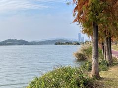 -鹤之洲湿地公园