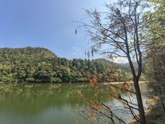 -广州市石门国家森林公园
